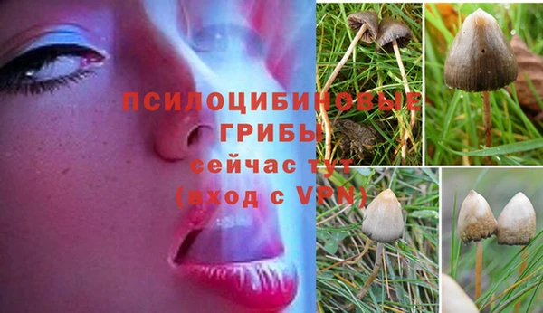 соль ск Алексеевка