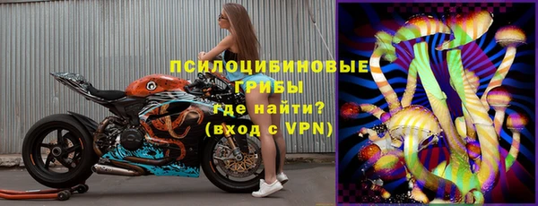 стаф Арсеньев