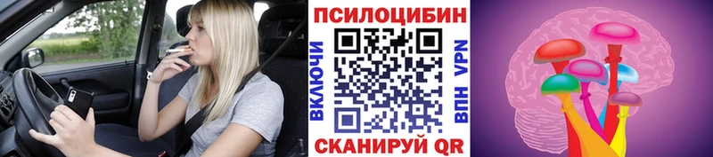 даркнет сайт  Рудня  Псилоцибиновые грибы Psilocybine cubensis 
